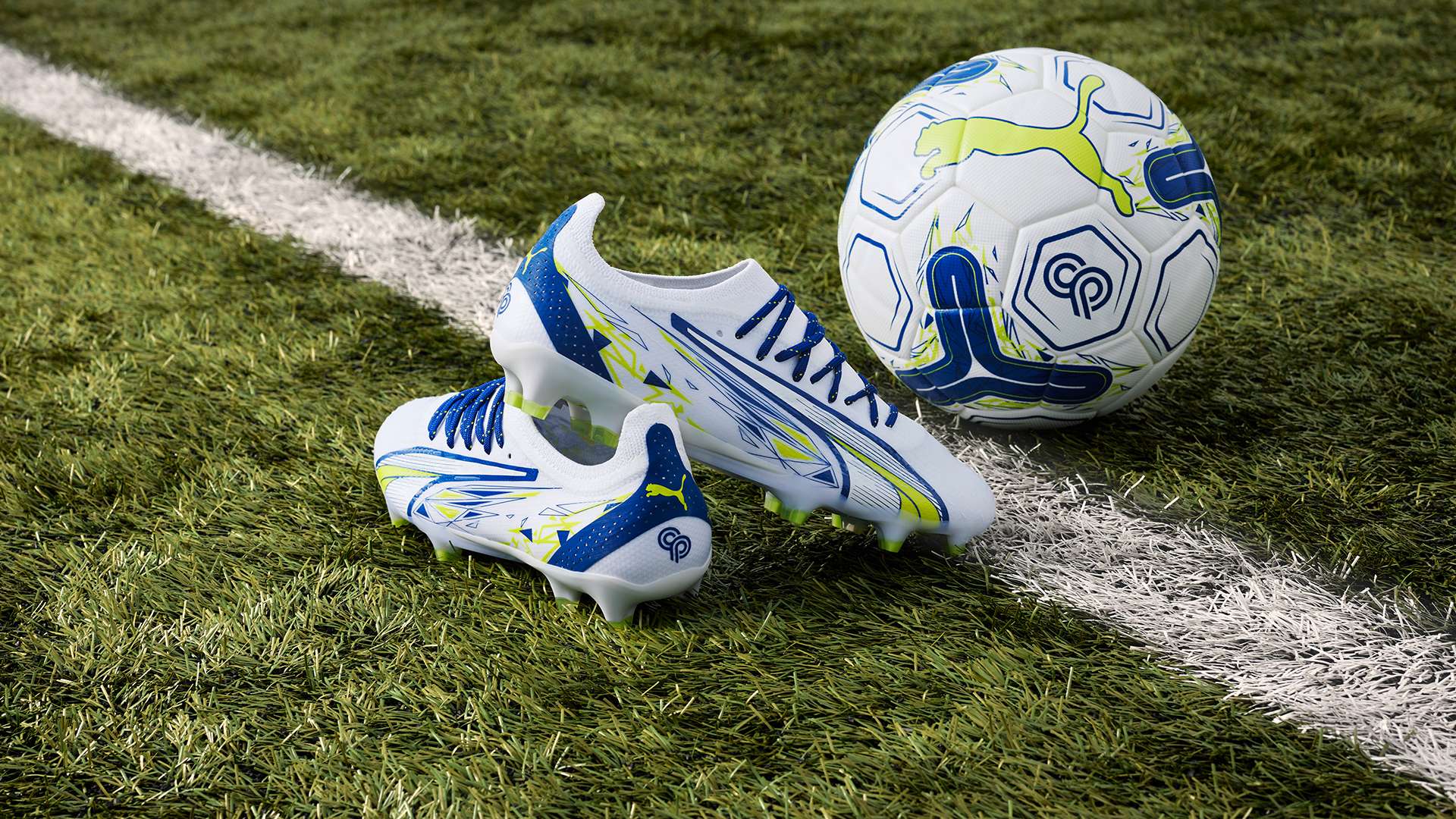 表现出了谨 表现出了谨